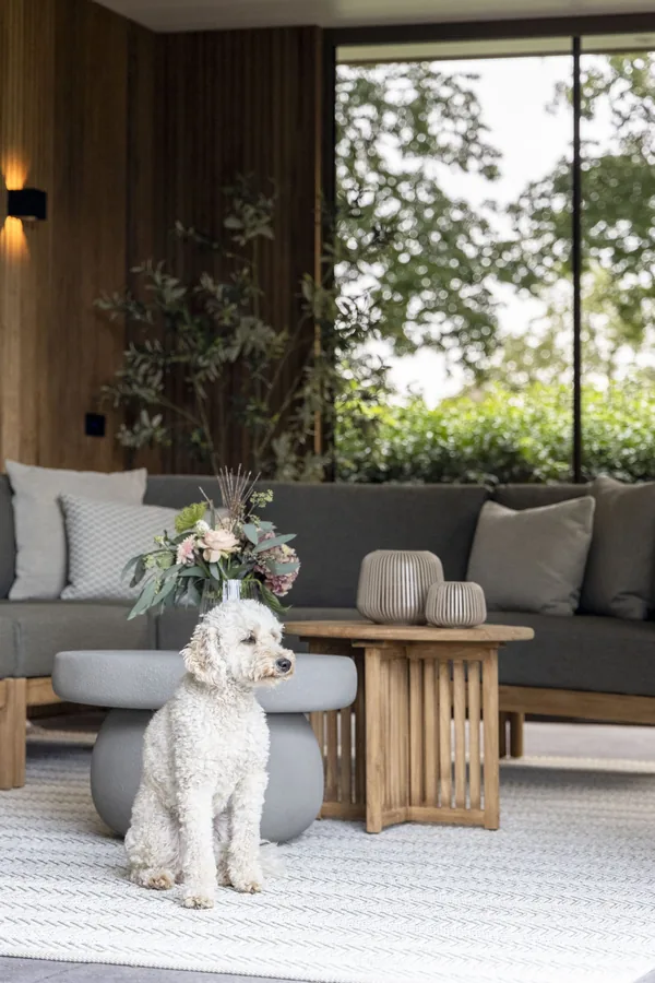 Moderne tuinkamer met haard